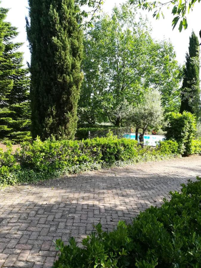 La Terrazza Su Roma Bed & Breakfast Zagarolo Eksteriør bilde