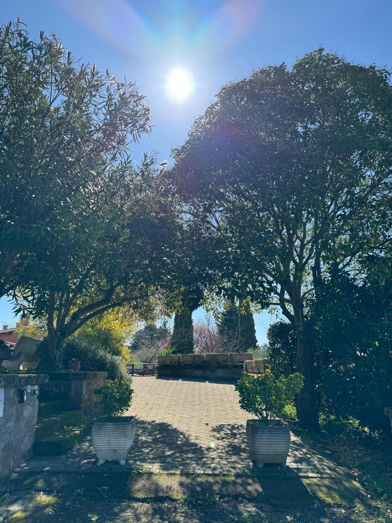 La Terrazza Su Roma Bed & Breakfast Zagarolo Eksteriør bilde