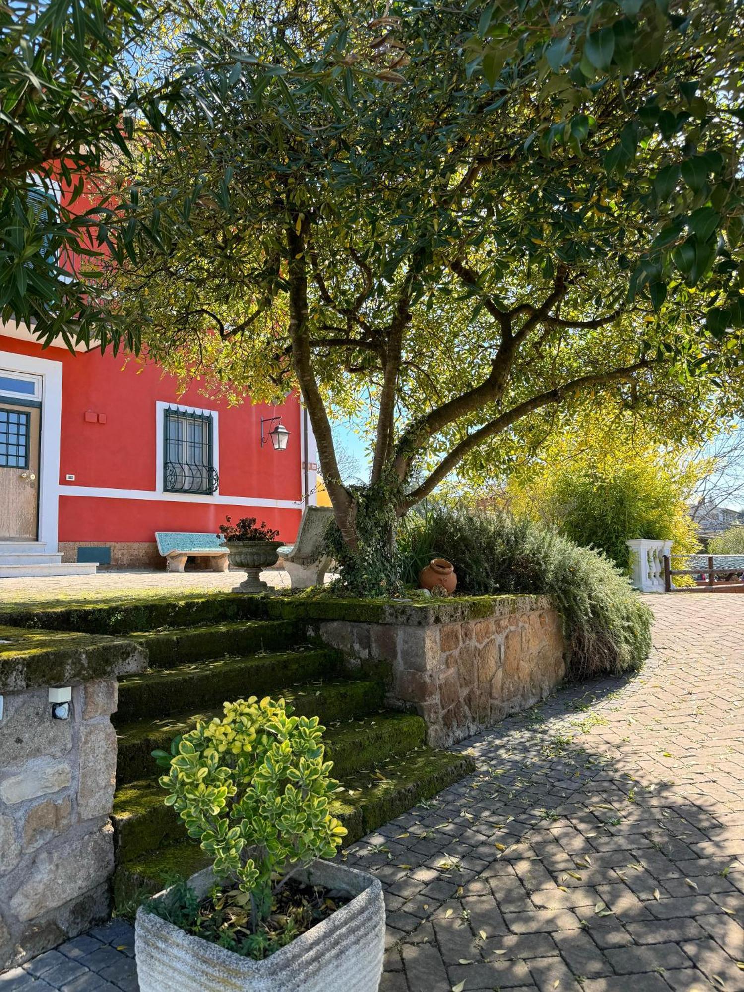 La Terrazza Su Roma Bed & Breakfast Zagarolo Eksteriør bilde